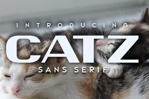 Catz Font Review: A Bold Sans Serif for Modern Brands